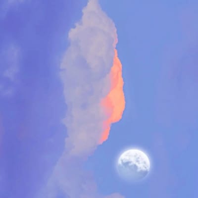 Phạm Phương Vy avatar